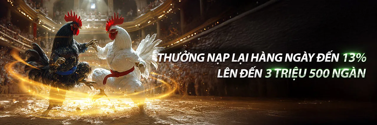 Đá gà trực tiếp ngày 1 tháng 6 - Hình nền
